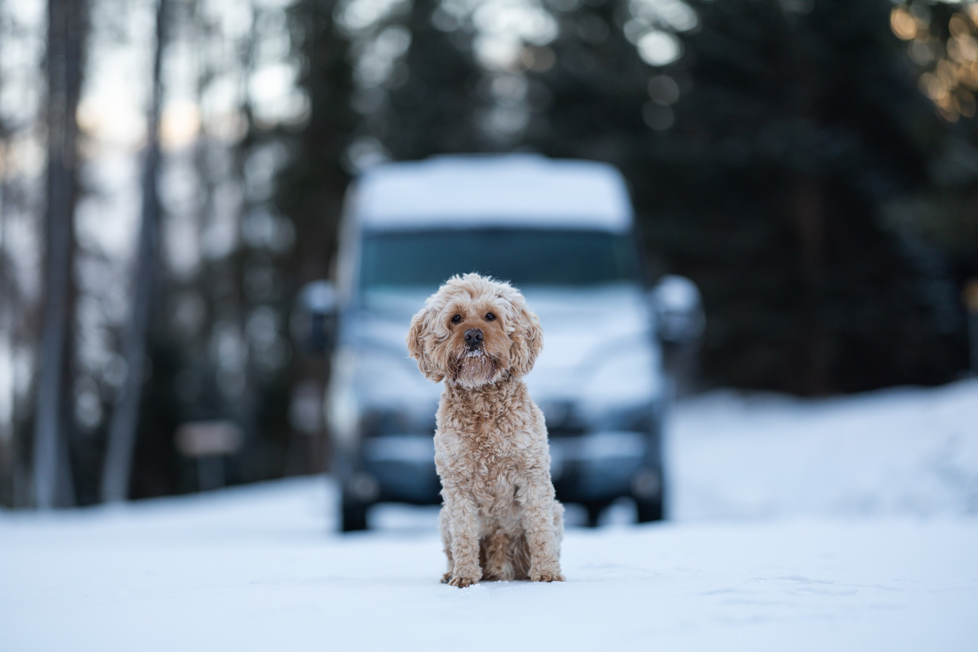 Subpage Slider Image